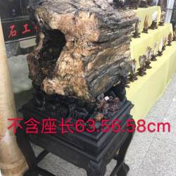 树化玉