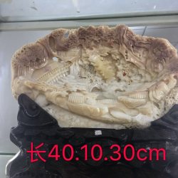 砗磲