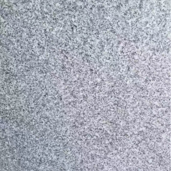 河南芝麻白