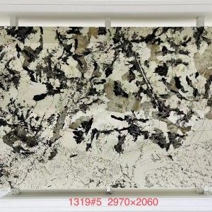 新正大奢石-1319金孔雀