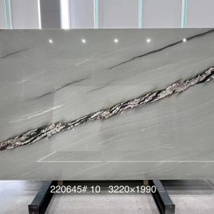 新正大奢石-220645银河灰