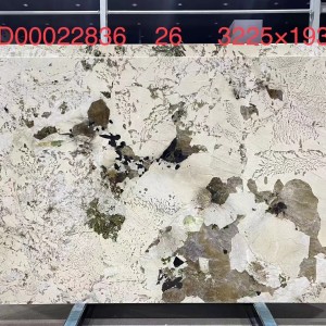 新正大奢石-00022836孔雀开屏