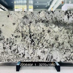 新正大奢石-220646雪山蓝