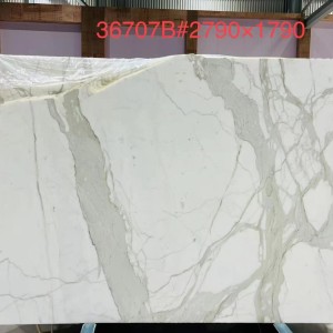 新正大奢石-36707