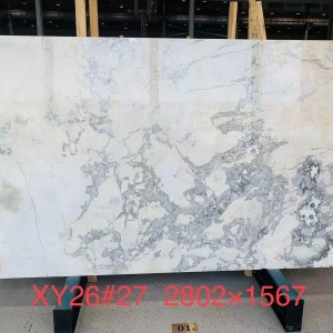 新正大奢石-XZY26