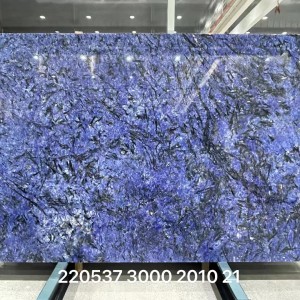 新正大奢石-220537雪山银狐染蓝