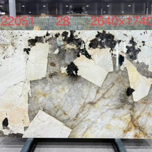 新正大奢石-22051巴达哥尼亚