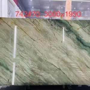 新正大奢石-XZD742加雅绿