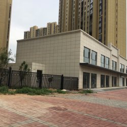 黄金麻干挂