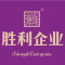 胜利石业公司