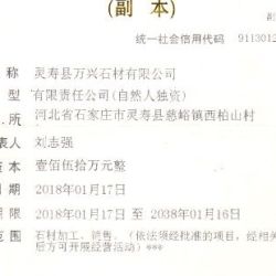 执照