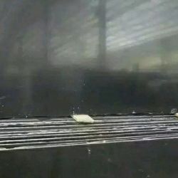 雅蒙黑光面