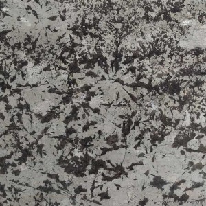 立达石业-雪山银狐