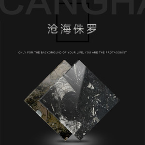 盛拓石业-沧海侏罗