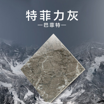 特菲力灰(巴菲特)