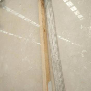 白玉兰