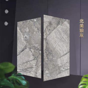 北美狼灰