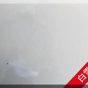 澳盛大板市场-白雪公主