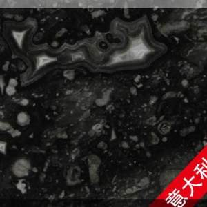 澳盛大板市场-意大利海贝灰