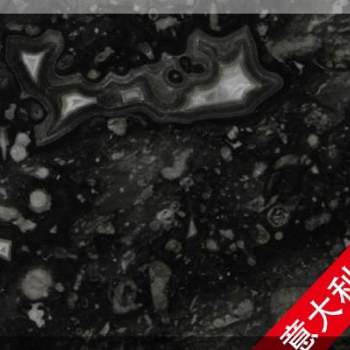 意大利海贝灰