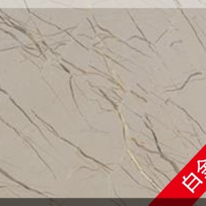 澳盛大板市场-白金世纪