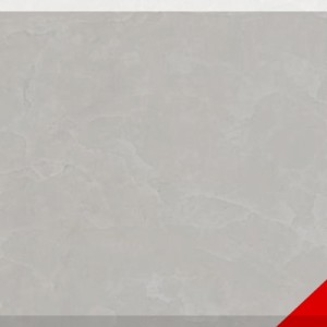 澳盛大板市场-白玉兰
