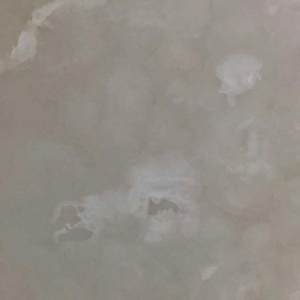 中闽石材城-阳春白雪