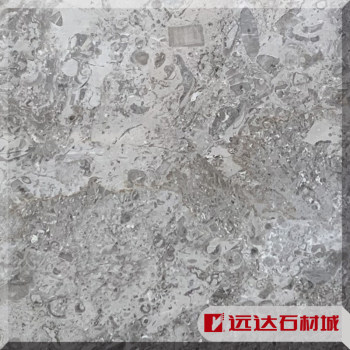 英格兰灰