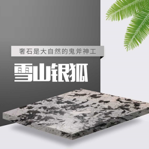 康利大板市场-雪山银狐