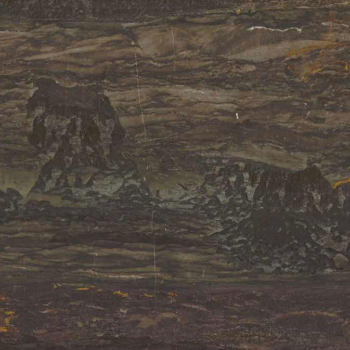 安第斯山水画