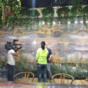 泰山风水石-泰山天然石画展会实拍