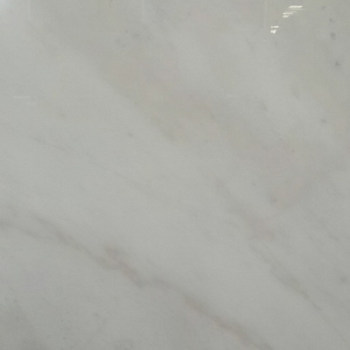 广西白