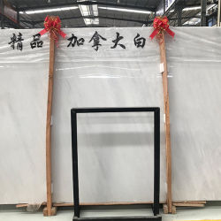 加拿大白