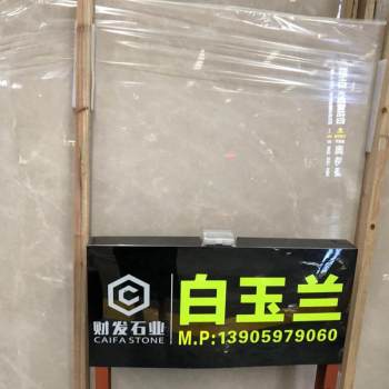 白玉兰