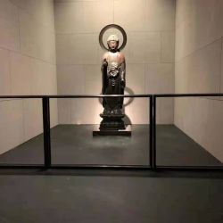 加洲灰