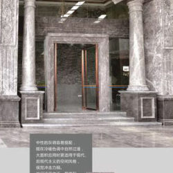 爱马仕灰案例4