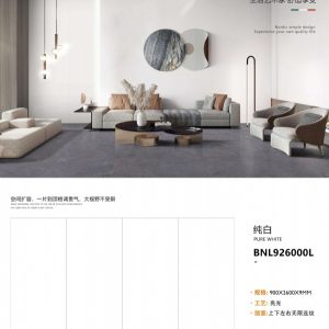益利岗石-纯白-亮 926000L