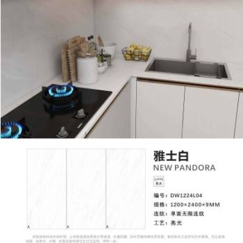 雅士白DW1224L04