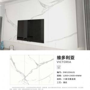 益利岗石-维多利亚DW1224L01