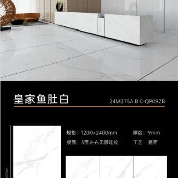ZY皇家鱼肚白