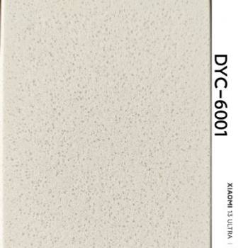 DYC-6001