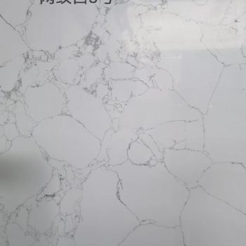 网纹白3