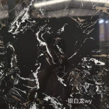银白龙WY