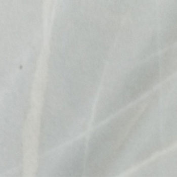 白玉木纹