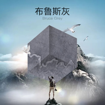 布鲁斯灰