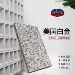 美国白金
