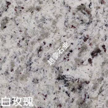 白玫瑰