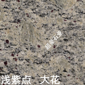 浅紫点(大花)