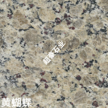 黄蝴蝶