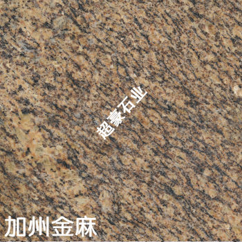 加洲金麻